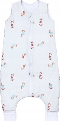 Picture of PULP-PIWOREK CAOROCZNY ZE SKARPETKAMI   1,5TOG PIESKI BKITNE OD 1 DO 2,5L