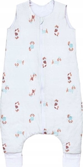 Picture of PULP-PIWOREK CAOROCZNY ZE SKARPETKAMI   1,5TOG PIESKI BKITNE OD 1 DO 2,5L