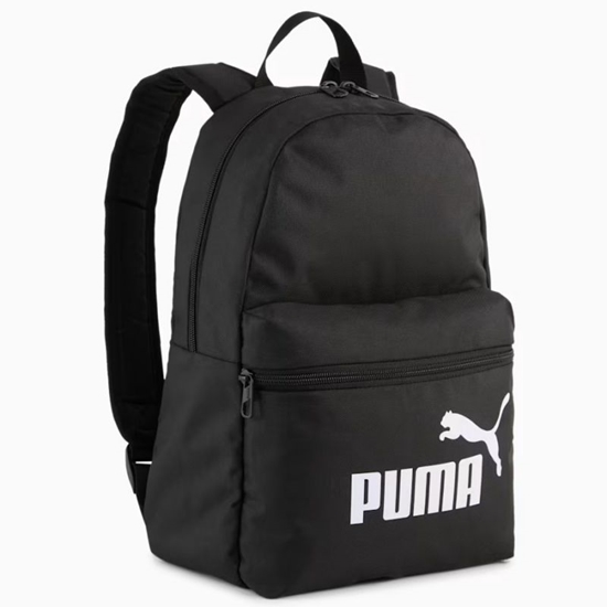 Picture of Puma Phase Small Mugursoma 091323-01