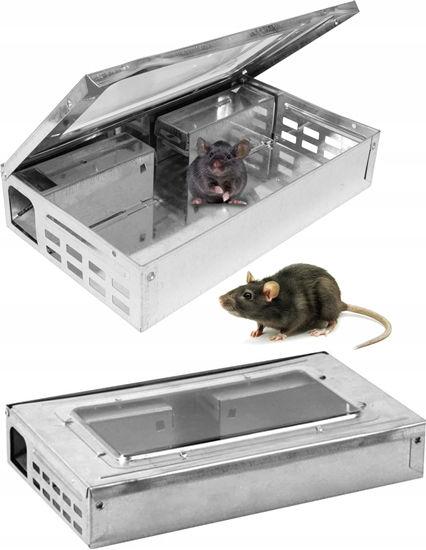 Изображение Puapka na myszy Q25B