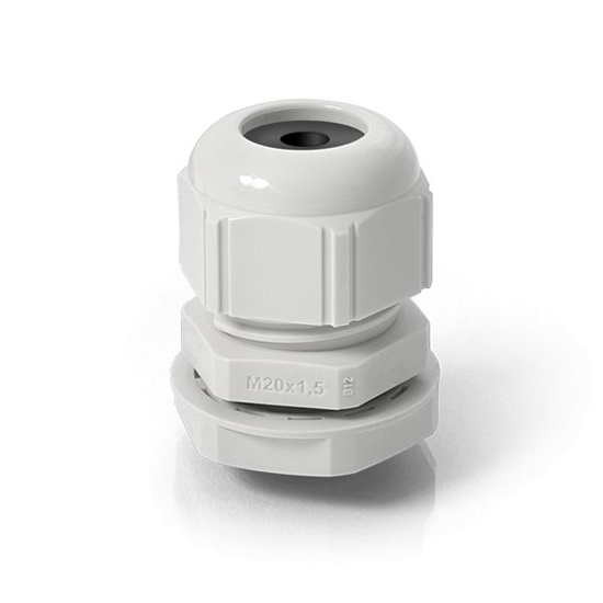 Picture of QuGland M20