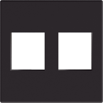 Attēls no Adapter AV Procab Procab CP45KS2/B Connection plate Keystone 45 x 45 mm Black