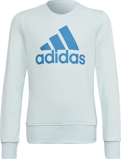 Picture of Adidas Bluza adidas Big Logo SWT HM8707