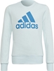 Picture of Adidas Bluza adidas Big Logo SWT HM8707