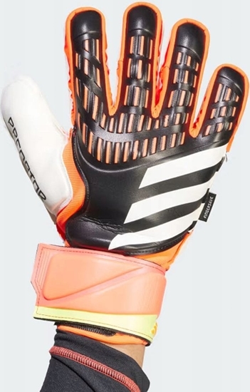 Picture of Adidas Rkawice adidas Predator GL MTC FS IQ4037