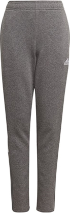 Attēls no Adidas Spodnie adidas TIRO 21 Sweat Pant Junior GP8809 GP8809 szary 116 cm