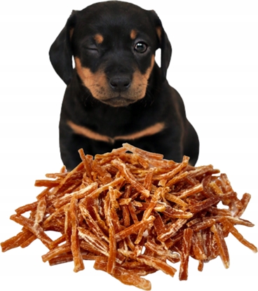 Picture of ALDA ALDA G834 JUNOR PASKI Z KACZKI 250g