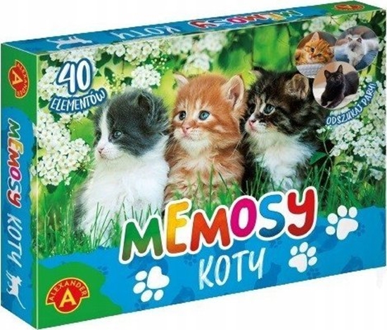 Picture of Alexander Gra Pami-Memosy-Koty