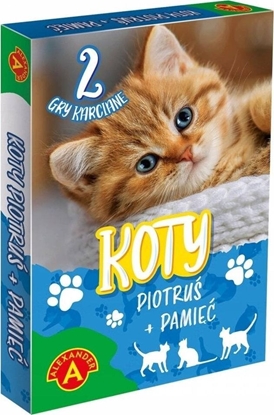 Picture of Alexander Piotru¶ Pami - koty ALEX