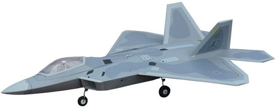 Picture of Amewi XFly Twin 40mm F-22 Raptor