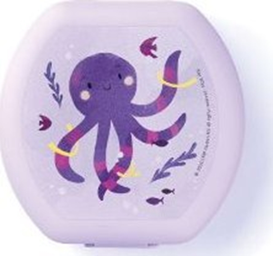 Picture of Amuse Pojemnik na przekski okrgy Omiornica / Amuse