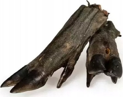 Изображение Arami ARAMI B RACICA DZIKA 1 szt.