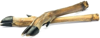 Attēls no ARAMI C RACICA SARNY 1szt.