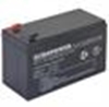 Picture of BATTERY 12V 9AH VRLA/EV9-12 T2 EUROPOWER EMU