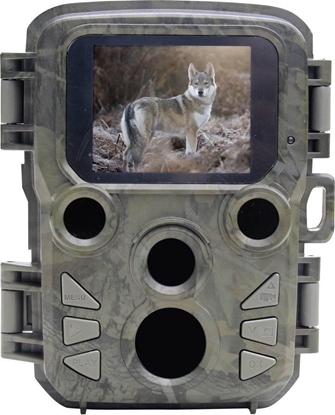 Picture of Braun Scouting Cam Black800 mini