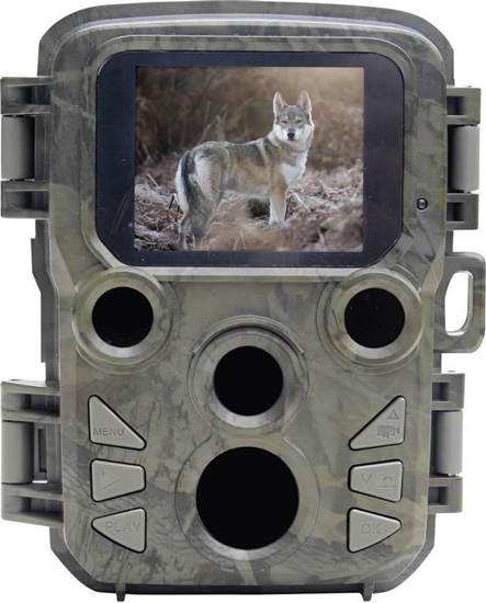 Picture of Braun Scouting Cam Black800 mini