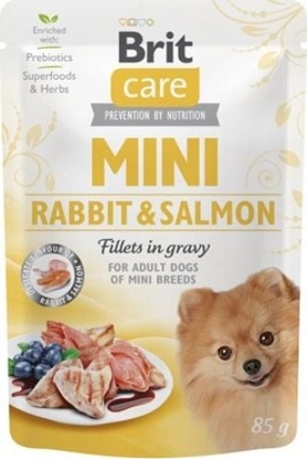 Picture of Brit Brit Care Mini Adult Rabbit Salmon Królik z ososiem Dla Malych Ras 85 G
