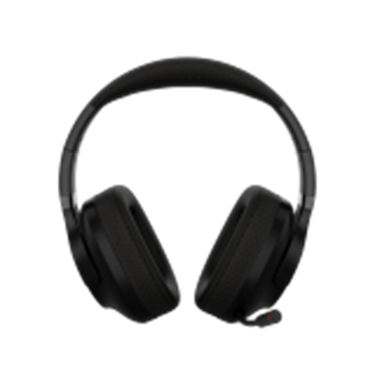 Attēls no CANYON CND-SGHS15B