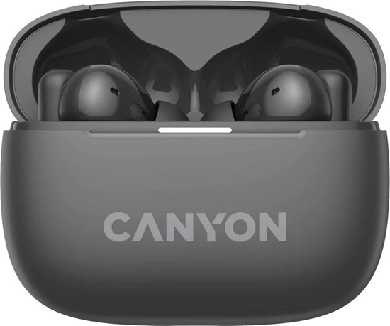 Picture of CANYON CNS-TWS10BK