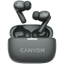 Picture of CANYON CNS-TWS10BK