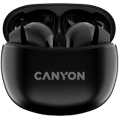 Picture of CANYON CNS-TWS5B