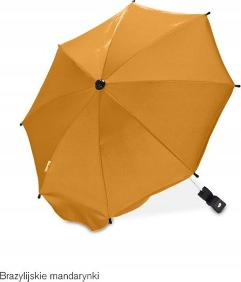 Picture of Caretero 5   PARASOLKA BRAZYLIJSKIE MANDARYNKI