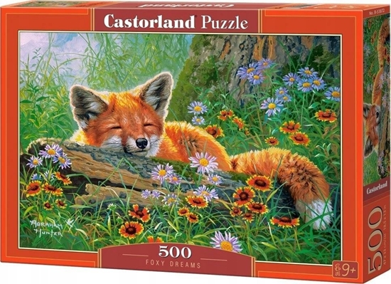 Picture of Castorland Puzzle 500 element?w Lis ?pi?cy