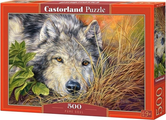 Picture of Castorland Puzzle 500 Pure Soul CASTOR