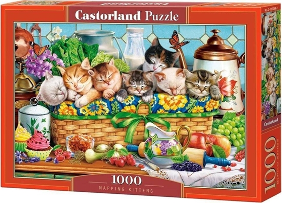 Picture of Castorland Puzzle Napping Kittens 1000 elementów