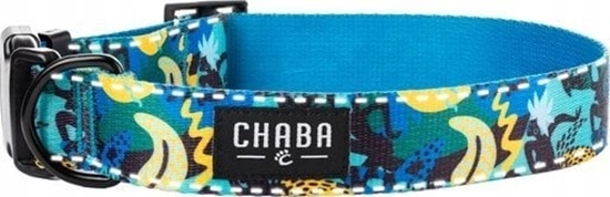 Picture of Chaba CHABA OBROA REG. STORY ``XL`` CARNIVAL   40-65x3cm