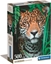 Изображение Clementoni CLE puzzle 500 Compact Jaguar w dungli 35541