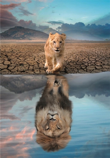 Picture of Clementoni Clementoni Puzzle 300el Super Self Reflection 21719