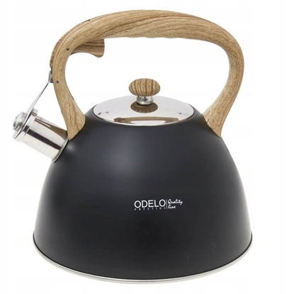 Picture of CZAJNIK NIEELEKTRYCZNY OD 1647 BK FULVI 3 L