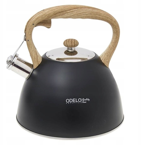 Picture of CZAJNIK NIEELEKTRYCZNY OD 1647 BK FULVI 3 L