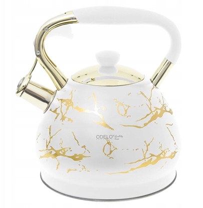 Изображение CZAJNIK NIEELEKTRYCZNY OD 2113 BIAY ZOTY