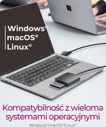 Picture of Czytnik Kart CF,TF,SD,microSD, Type-C+A, IB-CR302-CU3