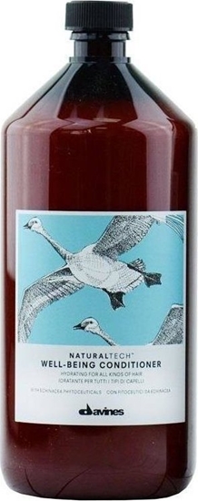 Picture of DAVINES_Natural Tech Well-Being Conditioner nawilajca odywka aromaterapeutyczna uatwiajca rozczesywanie wosów 1000ml