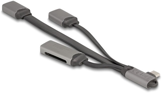 Picture of Delock 2 Port USB Hub including SD and Micro SD Card Reader with USB Type-C™ connector