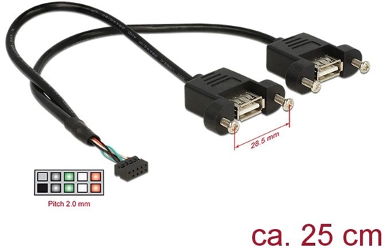 Picture of Delock Cable USB 2.0 pin header female 2.00 mm 10 pin > 2 x USB 2.0 Type-A female panel-mount 25 cm