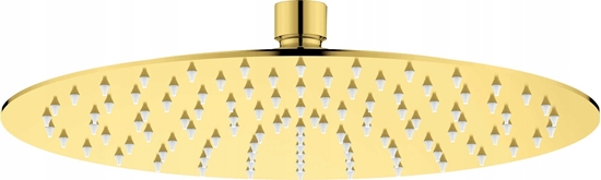 Picture of Deszczownica Deante Gowica prysznicowa okrga - 250 mm