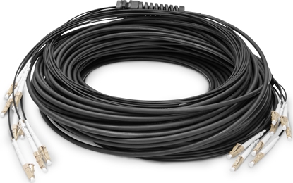 Изображение Digitus Pre-assembled Fiberglass Universal Breakout Cable, Multi Mode OM4, 8 Fibers, LC/UPC - LC/UPC