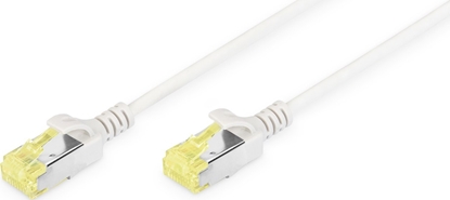 Изображение Digitus CAT 6A U-FTP SLIM PATCH CORD 1M CAT 6A U-FTP SLIM PATCH CORD 1M