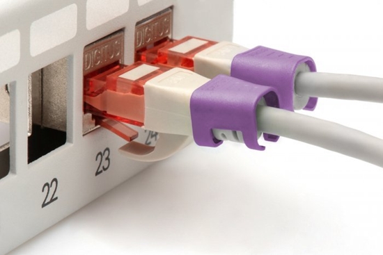 Picture of Digitus Color clips for Patch cable - Violet