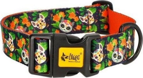 Изображение Dingo DINGO OBROA REG. CITY CHIAPAS  2,0 x 45cm