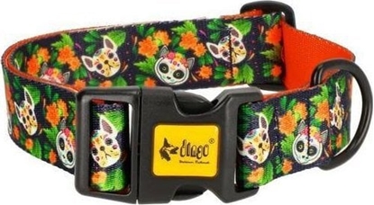 Изображение Dingo DINGO OBROA REG. CITY CHIAPAS  4,0 x 75cm