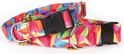 Изображение Dingo Obroa regulowana America-Kolorado 3 x 60 cm (35-55 cm) kalejdoskop