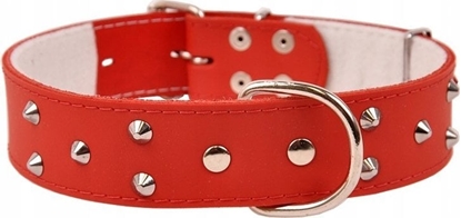 Изображение Dino Obroa Skóra Ozdobna 40mm/67cm Czarna