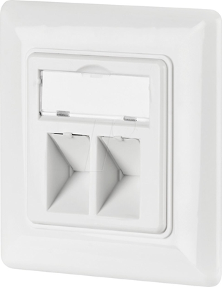 Изображение EFB EFB Netzwerkdose 2-fach fur Keystones Weiss RAL 9003 ohne Keystone