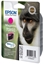 Picture of Epson Monkey Singlepack Magenta T0893 DURABrite Ultra Ink