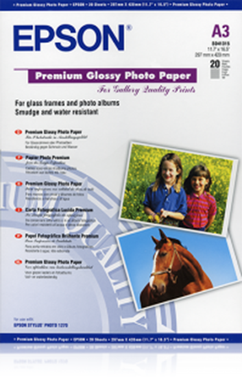 Picture of Epson Premium Glossy Photo Paper A3+, 20 Sheet, 255g   S041316